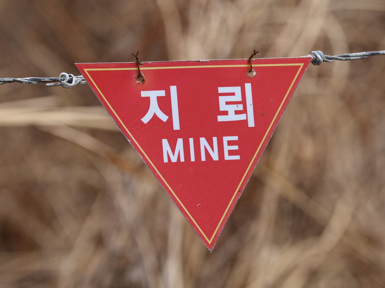 철조망에 걸린 빨간 역삼각형 표지판에 '지뢰 MINE'이라고 적혀 있다