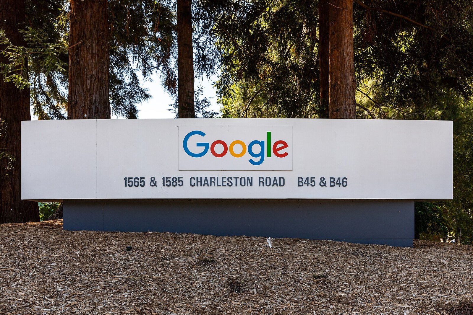 키 큰 삼나무 숲 앞에 흰색 긴 표지판이 서 있고, 가운데 컬러 Google 로고 아래 '1565 & 1585 CHARLESTON ROAD B45 & B46'이라고 적혀 있다